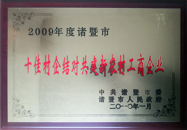 公司分别与牌头镇新五村、陶朱街道五蓬村和岭北镇梅坞村等结对，累计投入100多万元。